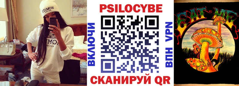 Псилоцибиновые грибы Psilocybine cubensis Ардатов
