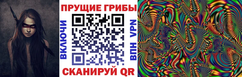 Псилоцибиновые грибы Psilocybe  kraken как войти  Ардатов  закладка 